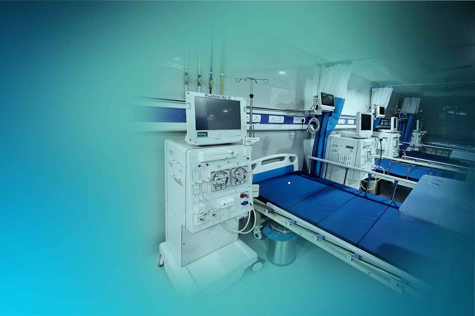 Hemodialysis