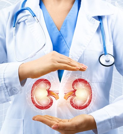 Nephrology Team