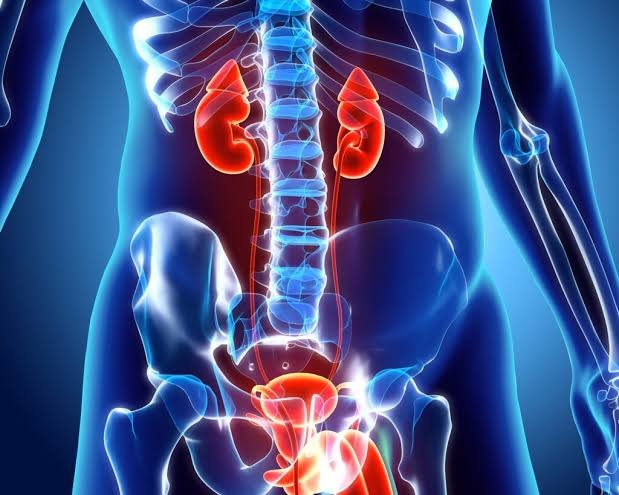 Urology Team